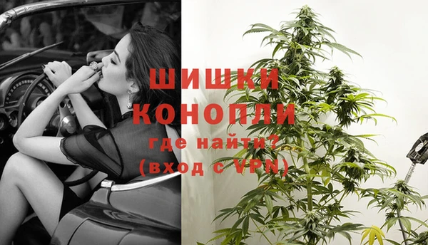 гашик Красноперекопск