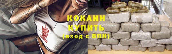 твердый Куйбышев